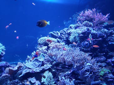 サンシャイン水族館に投稿された画像（2023/2/26）