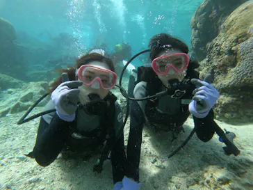 武藤潜水に投稿された画像（2023/2/26）