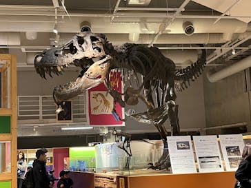 国立科学博物館に投稿された画像（2023/2/26）