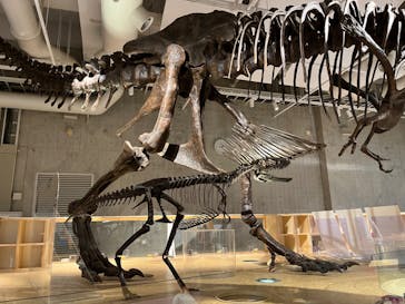 国立科学博物館に投稿された画像（2023/2/26）