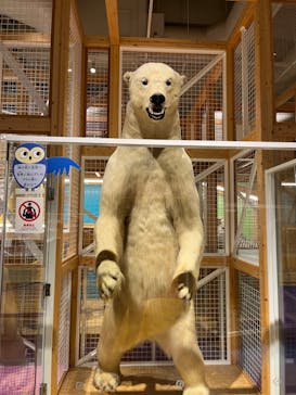 国立科学博物館に投稿された画像（2023/2/26）