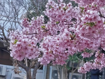 伊豆高原アンティーク・ジュエリーミュージアムに投稿された画像（2023/2/26）