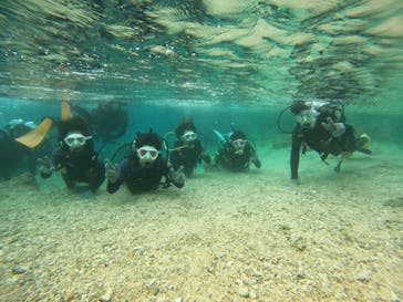 沖縄マリンサービス碧に投稿された画像（2023/2/26）