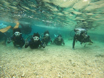 沖縄マリンサービス碧に投稿された画像（2023/2/26）