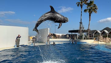 大分マリーンパレス水族館 「うみたまご」に投稿された画像（2023/2/26）