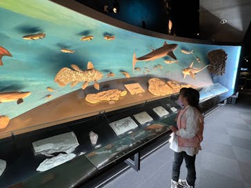 環境水族館アクアマリンふくしまに投稿された画像（2023/2/26）