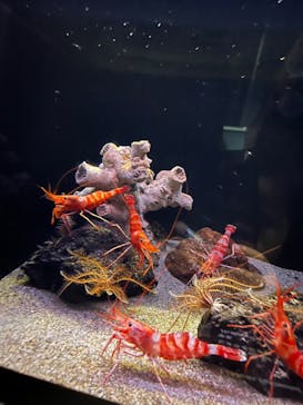 環境水族館アクアマリンふくしまに投稿された画像（2023/2/26）