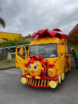 ナゴパイナップルパークに投稿された画像（2023/2/26）