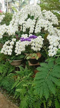 沖縄美ら海水族館に投稿された画像（2023/2/26）