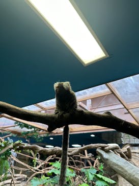 那須どうぶつ王国に投稿された画像（2023/2/26）