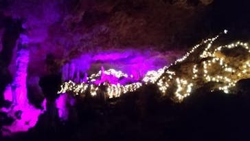 石垣島鍾乳洞に投稿された画像（2023/2/26）
