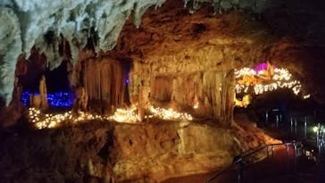 石垣島鍾乳洞に投稿された画像（2023/2/26）