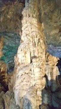 石垣島鍾乳洞に投稿された画像（2023/2/26）