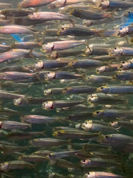 株式会社Gに投稿された画像（2023/2/26）