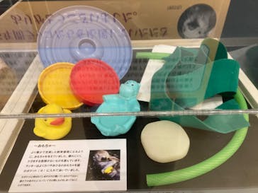 株式会社Gに投稿された画像（2023/2/26）