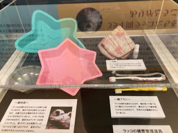 株式会社Gに投稿された画像（2023/2/26）