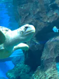 名古屋港水族館に投稿された画像（2023/2/26）
