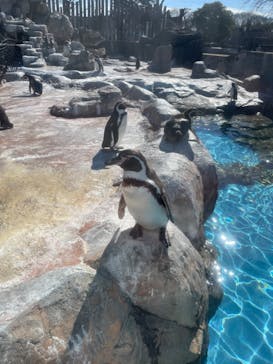 東武動物公園に投稿された画像（2023/2/26）