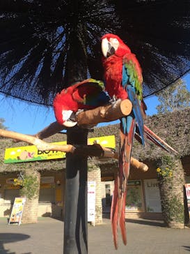 長崎バイオパークに投稿された画像（2023/2/26）