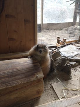 長崎バイオパークに投稿された画像（2023/2/26）