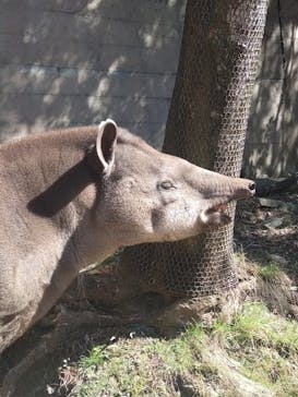 長崎バイオパークに投稿された画像（2023/2/26）