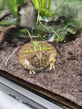 サンシャイン水族館に投稿された画像（2023/2/26）