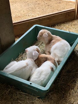 ワールド牧場に投稿された画像（2023/2/26）