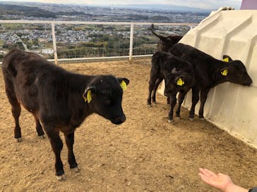 ワールド牧場に投稿された画像（2023/2/26）