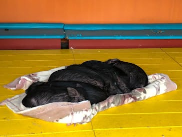 ワールド牧場に投稿された画像（2023/2/26）