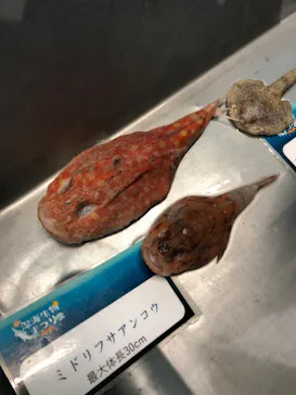 横浜・八景島シーパラダイスに投稿された画像（2023/2/26）