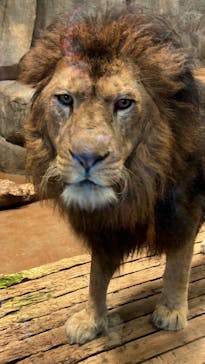 よこはま動物園ズーラシアに投稿された画像（2023/2/26）