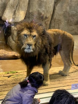 よこはま動物園ズーラシアに投稿された画像（2023/2/26）