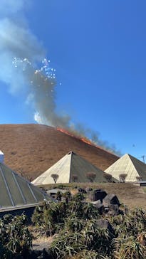 伊豆シャボテン動物公園に投稿された画像（2023/2/26）