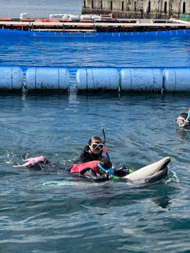 ドルフィンファンタジーに投稿された画像（2023/2/26）