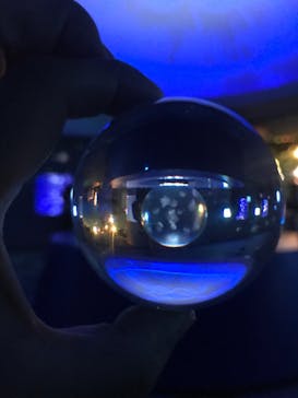 新江ノ島水族館に投稿された画像（2023/2/26）