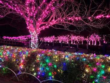 東武動物公園に投稿された画像（2023/2/26）