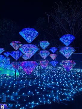 伊豆ぐらんぱる公園に投稿された画像（2023/2/26）