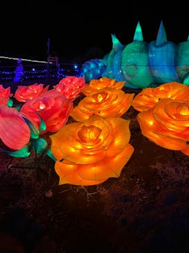 伊豆ぐらんぱる公園に投稿された画像（2023/2/26）