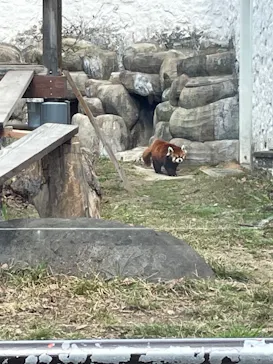 天王寺動物園に投稿された画像（2023/2/26）