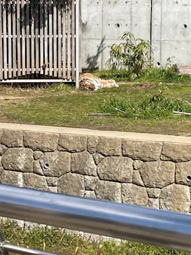 天王寺動物園に投稿された画像（2023/2/26）