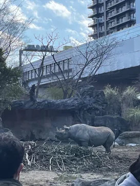 天王寺動物園に投稿された画像（2023/2/26）