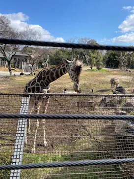 天王寺動物園に投稿された画像（2023/2/26）