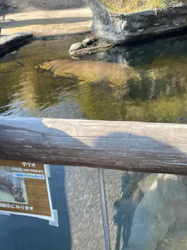 天王寺動物園に投稿された画像（2023/2/26）