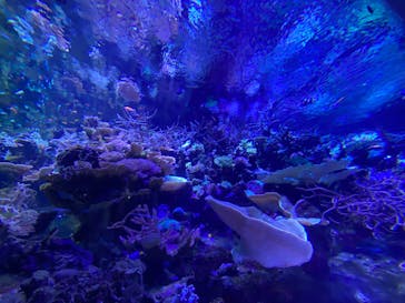 名古屋港水族館に投稿された画像（2023/2/26）