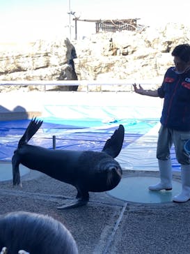 大分マリーンパレス水族館 「うみたまご」に投稿された画像（2023/2/26）