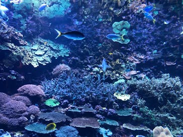 大分マリーンパレス水族館 「うみたまご」に投稿された画像（2023/2/26）