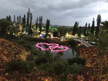 美らヤシパークオキナワ・東南植物楽園に投稿された画像（2023/2/26）