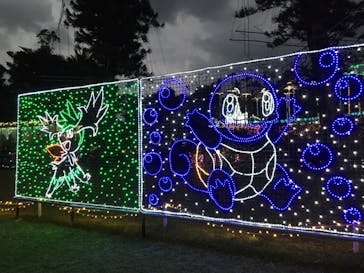 美らヤシパークオキナワ・東南植物楽園に投稿された画像（2023/2/26）