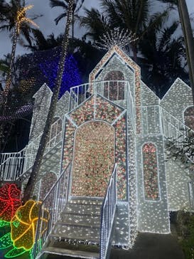 美らヤシパークオキナワ・東南植物楽園に投稿された画像（2023/2/26）