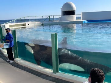 鴨川シーワールドに投稿された画像（2023/2/26）